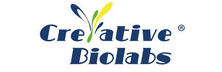 Creative Biolabs: Excellence in Custom Biotechnology and Pharmaceutical Services